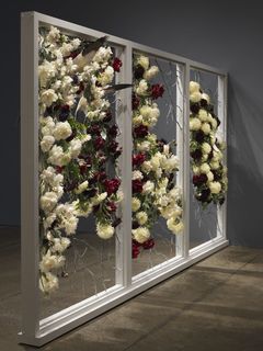 13petah-coyne.jpeg