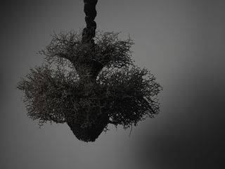 14petah-coyne.jpeg