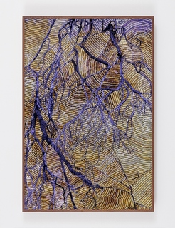 15Transfigured.jpg