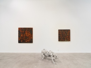 5Transfigured.jpg