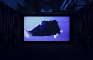7philippe-parreno.jpg