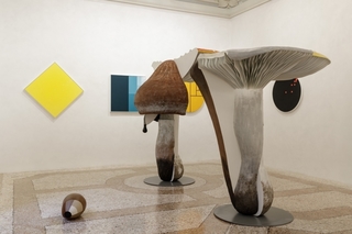 8carsten-holler.jpg