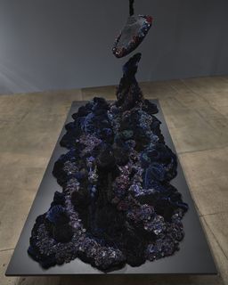 9petah-coyne.jpeg