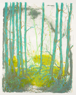11katharina-albers-what-dreams-those-forests.jpg