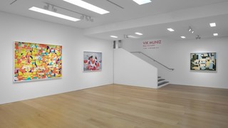 11vikmuniz.jpg