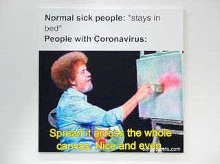13coronavirus-memes.jpg