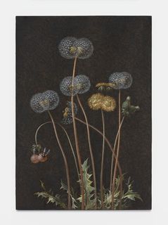 13future-herbarium.jpg