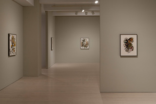 13irvingpenn.jpg