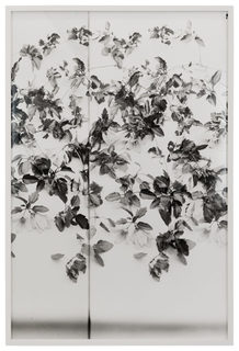 13lisa-oppenheim-2.jpg