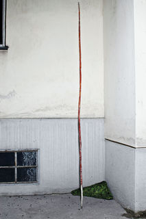 156loisweinberger.jpg
