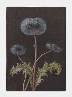 16future-herbarium.jpg