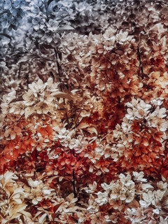 18trevor-paglen-bloom.jpg