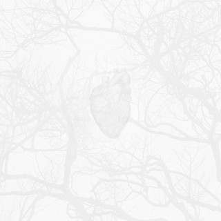 19collective-ruminations.jpg