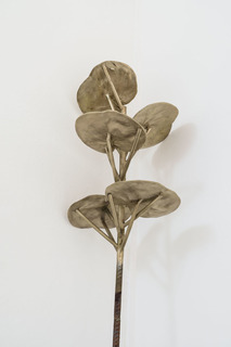 19giovanniozzola.jpg