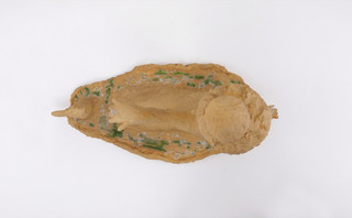 19otani_workshop.jpg