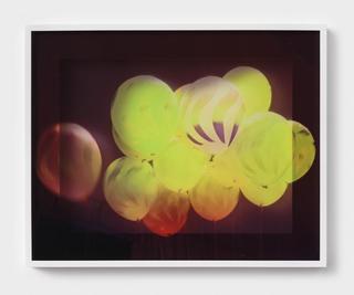 19sara-greenberger-rafferty.jpg