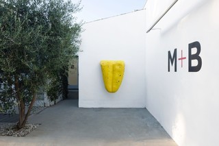1boccato_sarion.jpg