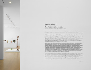 1leo-amino-the-visible-and-the-invisible.jpg