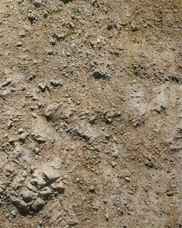 25youcef-korichi.jpg