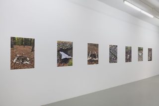 27dawn-kasper.jpg