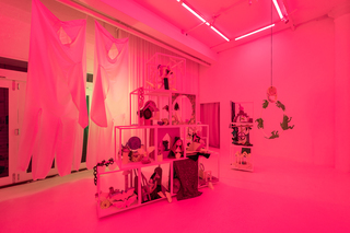 2Candida_Powell_Williams_The_Gates_of_Apophenia.jpg