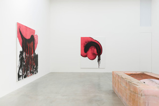 2anishkapoor.jpeg