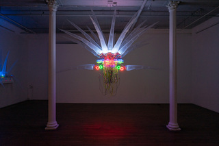 2incubate-huang.JPG