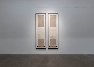 2lin-xue.jpg