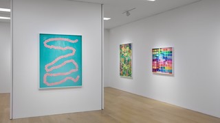 2vikmuniz.jpg