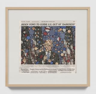 34fred-tomaselli7.jpeg