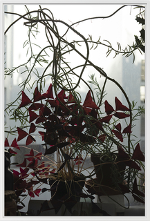 34wolfgang-tillmans-berlin-2020.jpg