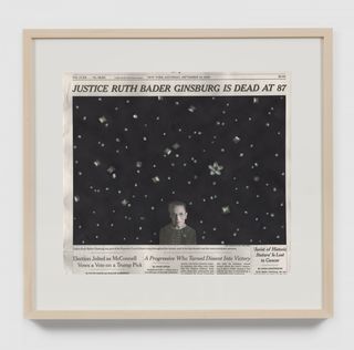 35fred-tomaselli7.jpeg