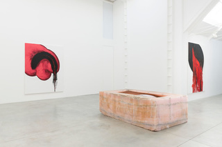 3anishkapoor.jpeg