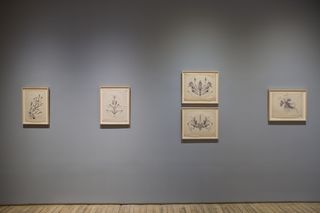 3eugene-von-bruenchenhein-drawings-1964-67.jpeg