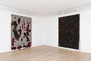 4anishkapoor.jpeg