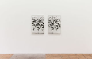 4lisa-oppenheim-2.jpg