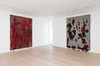 5anishkapoor.jpeg