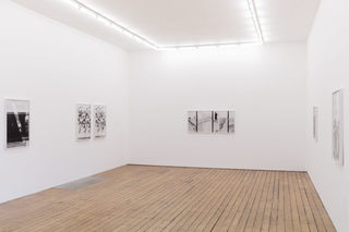5lisa-oppenheim-2.jpg