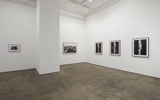 6anthonymccall.jpeg