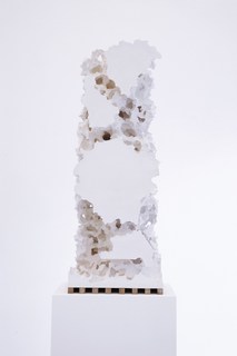 7florian-roithmayr.jpg