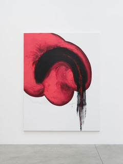 8anishkapoor.jpeg