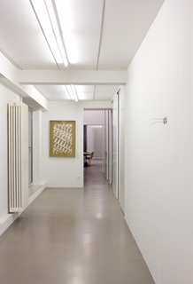 8ariel-schlesinger.jpg