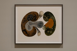 8irvingpenn.jpg